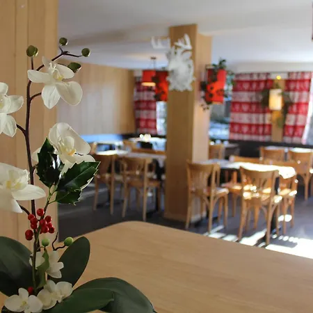 Le Rocher Du Cerf Hotel Le Lioran